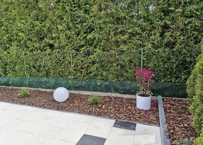 A&m بيت للعطل *