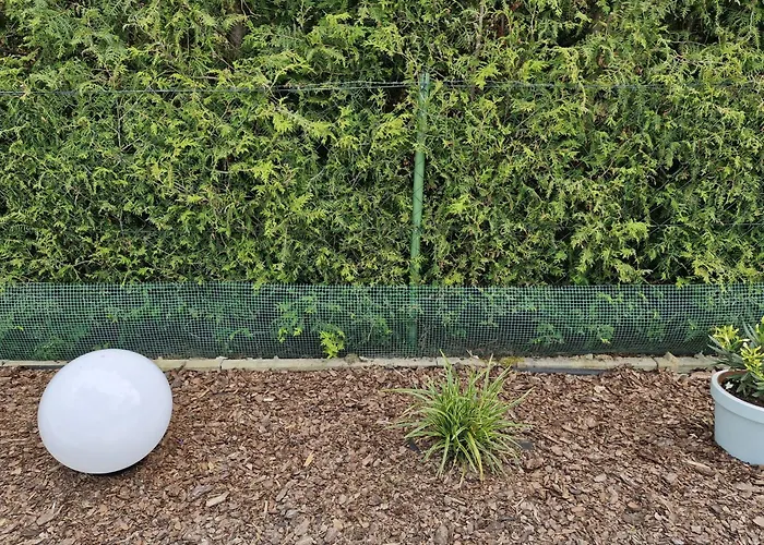 A&m Σπίτι διακοπών Łukęcin